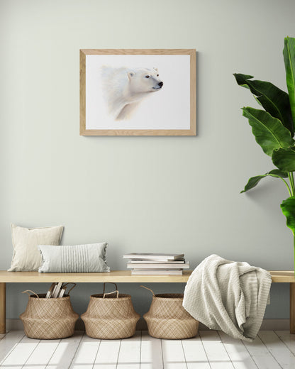 Polar Bear Prints