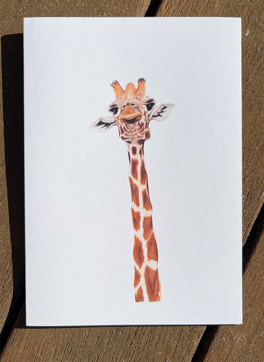 Solo Giraffe Cards