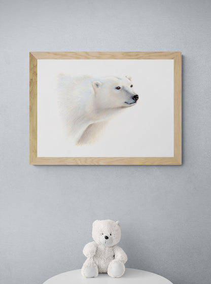 Polar Bear Prints