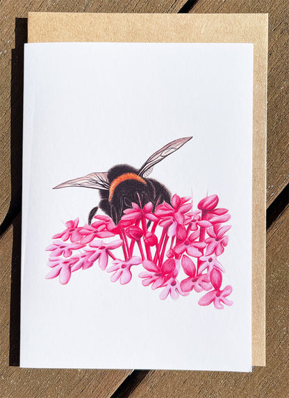 Bumble Bee #2 Cards