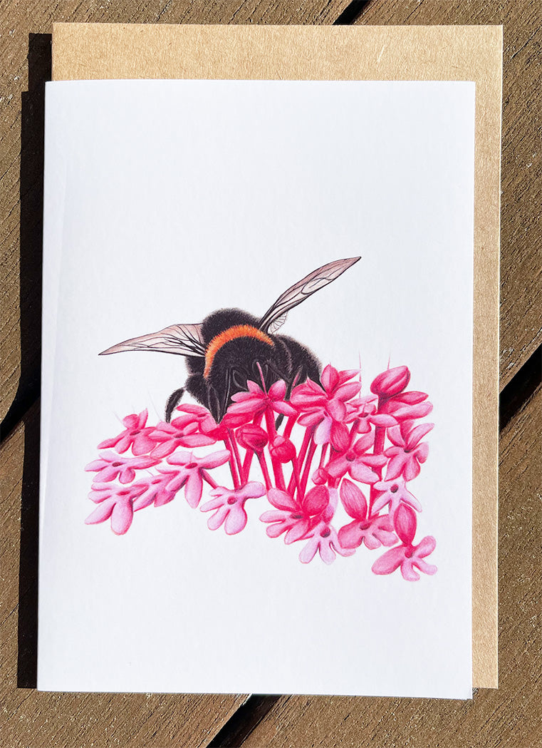 Bumble Bee #3 Cards