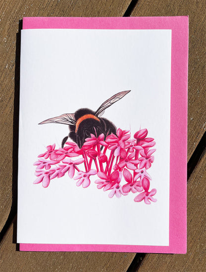 Bumble Bee #2 Cards