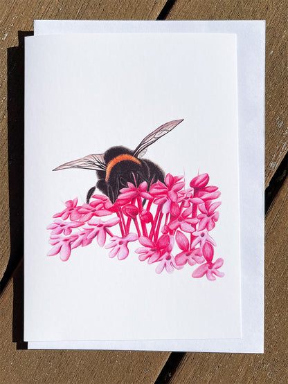 Bumble Bee #2 Cards