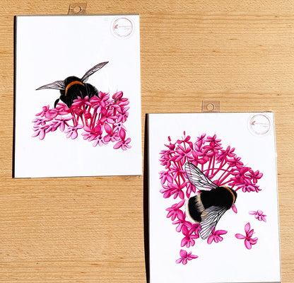 Bumble Bee #2 Prints