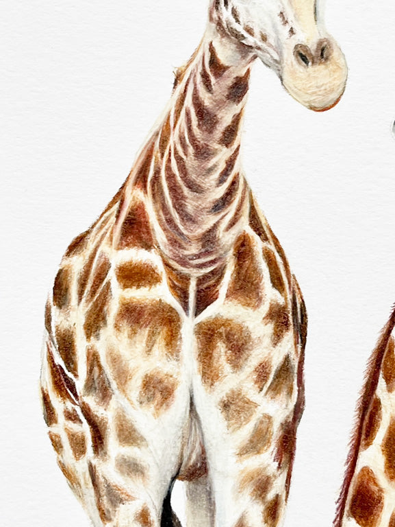 Mum & Baby Giraffe Prints