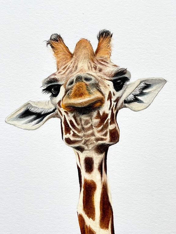 Solo Giraffe Prints