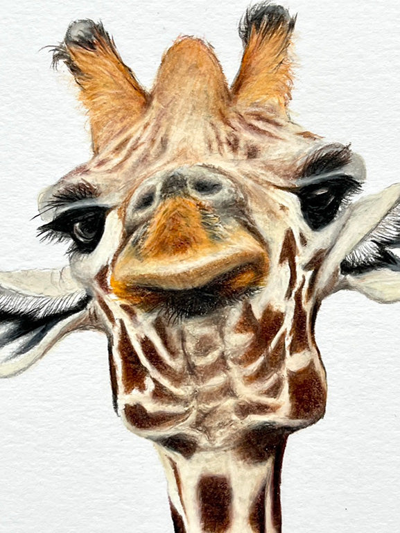 Solo Giraffe Prints