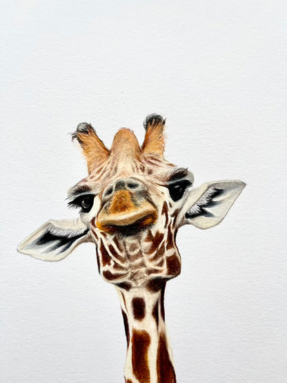 Solo Giraffe Prints