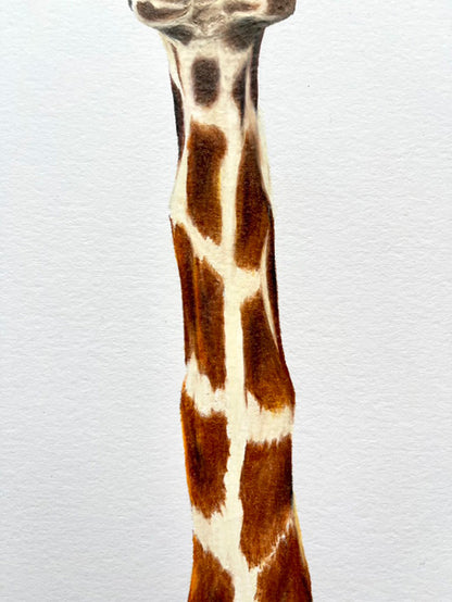 Solo Giraffe Prints